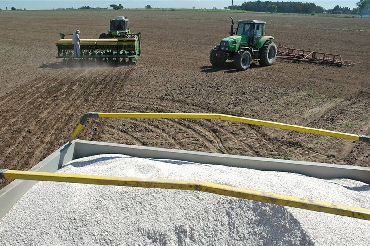 La producción apunta a usar más fertilizantes