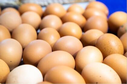 La producción avícola está en alerta por el contrabando de huevos