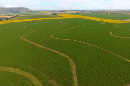 La producción, con el desafío de aprovechar las nuevas oportunidades de la tecnología