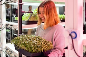 La producción de alimentos genera enormes cantidades de gases de efecto invernadero, por lo que investigadores buscan mejorar la agricultura para hacerla más sustentable