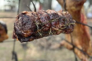 Búfalos: la especie que sorprende con una carne que apunta a una liga mayor
