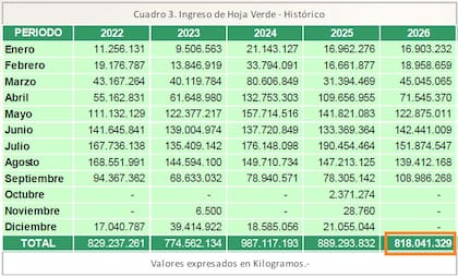 La producción de hoja verde alcanzó el récord histórico en 2024, con casi 1000 millones de kilos, al año siguiente bajó producto de los malos precios pagados al productor y este año volverá a caer. Pero el gran interrogante es lo que sucederá el año próximo si las plantas se resienten y las condiciones del Súper Niño persisten