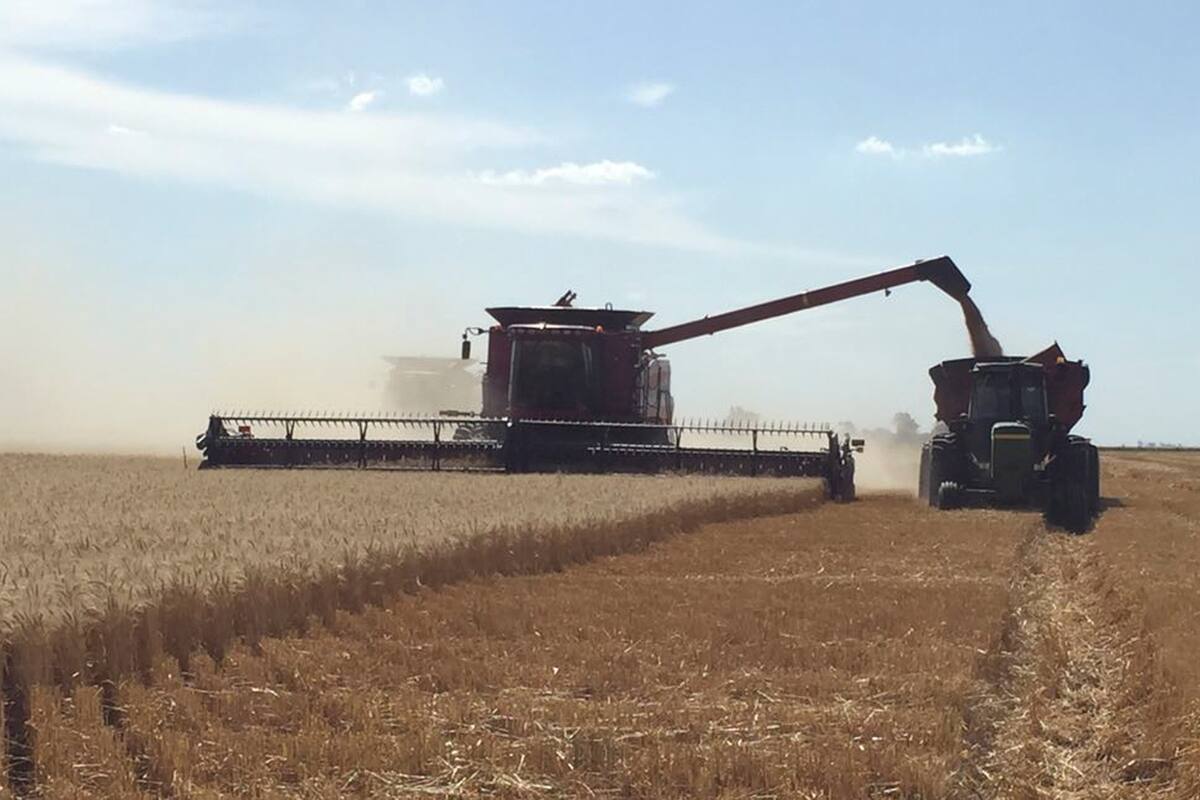 La producción del vecino país creció en términos porcentuales menos que el producto interno bruto