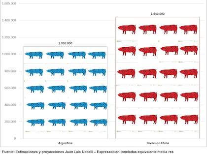 La producción porcina "potencial" para 2026 de la Argentina y de los proyectos chinos