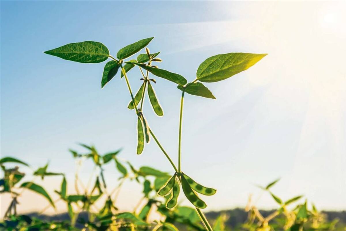 La producción requiere una mirada de largo plazo