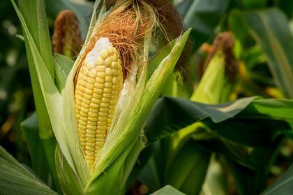 La productividad mejora con el control integrado