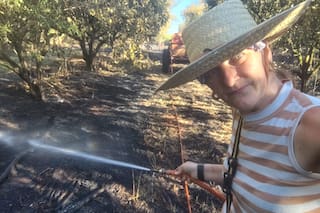 Dolor y tristeza de una familia de productores que denunció 82 robos y ahora le prendieron fuego a su plantación de limones