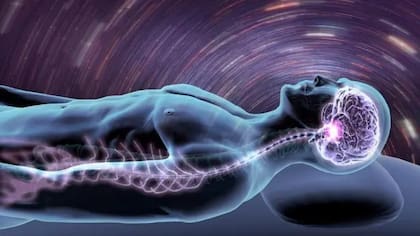 La profesora asociada de neurología y fisiología molecular e integrativa de la Universidad de Michigan se dedicó a estudiar qué pasa en el cerebro humano cuando estamos muriendo