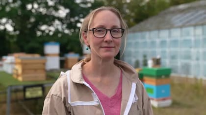 La profesora Geraldine Wright empezó a trabajar en la nutrición de las abejas después de que los apicultores le contaran que muchas de sus abejas estaban muriendo