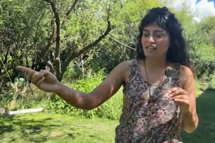 La propiedad cuenta con un amplio espacio verde; tiene árboles de manzanas y duraznos y plantas de aloe, tomillo, girasoles (Foto: Captura de video)
