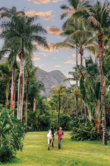 La propiedad, una antigua plantación de café llamada "Fazenda São Tomé" y rebautizada por Kravitz como "Velveteen", tiene caballos que estarán a disposición de los huéspedes