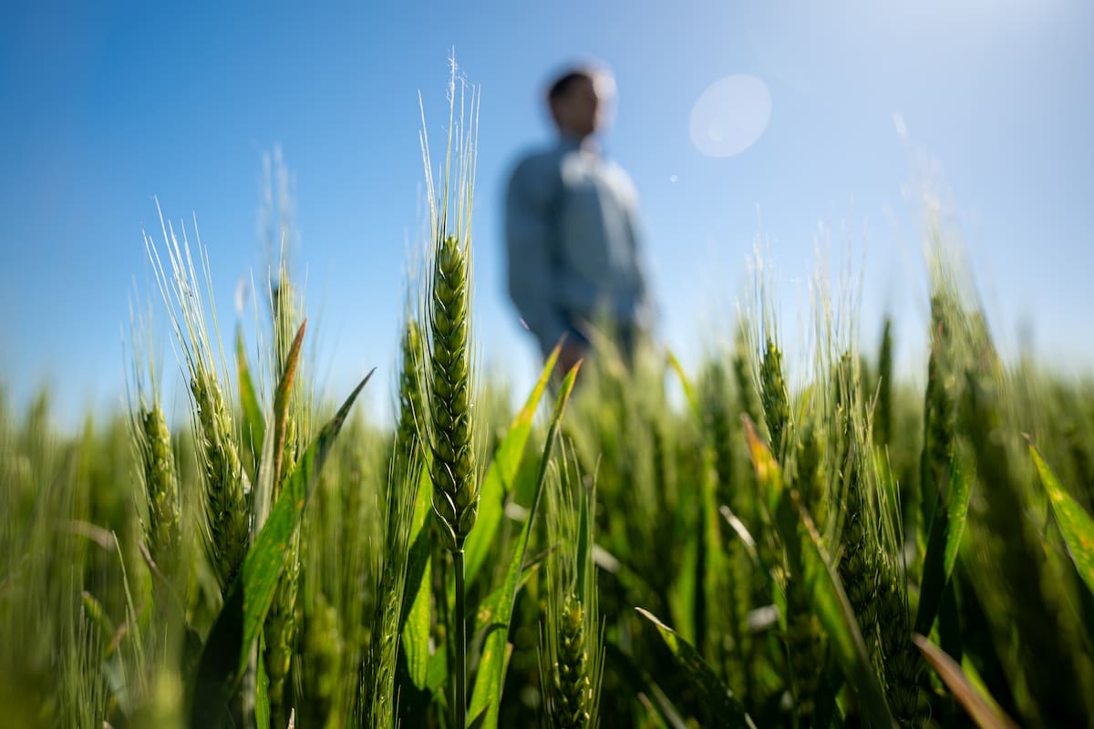 La propuesta apunta a dar soluciones para los productores