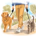 La Ciudad impulsa un cambio sin precedentes para quienes tienes perros y gatos