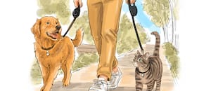 La Ciudad impulsa un cambio sin precedentes para quienes tienes perros y gatos