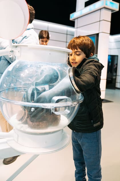 La propuesta combina entretenimiento, ciencia y educación a través de una exhibición pensada para público familiar