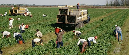 La propuesta de Trump busca equilibrar su retórica antiinmigrante con la realidad económica: sectores como la agricultura y la hotelería dependen de mano de obra irregular