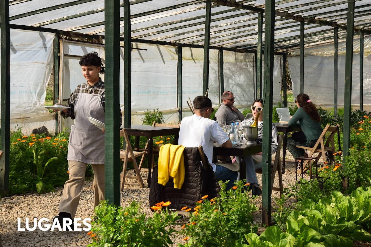 Carolina Castoldi, Franco Lichardi, Leo Gardelliano y Brenda Barreto recuperaron una huerta agroecológica para montar un original restaurante.
