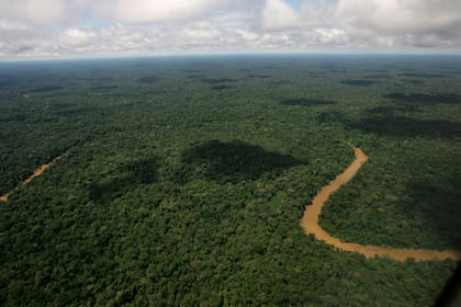 La protección de los humedales es muy importante