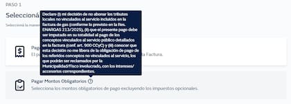 La provincia de Buenos Aires y varios municipios lograron respaldo judicial para cobrar tasas en la factura de gas; el Gobierno apeló los fallos y el Enargas publicó una resolución para exhibir la obligatoriedad de la presión fiscal local