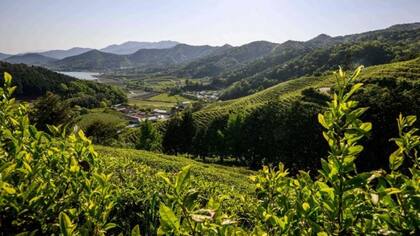 La provincia de Jeolla del Sur se encuentra en el suroeste de Corea del Sur