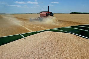La próxima cosecha argentina de trigo fue estimada en 21 millones de toneladas