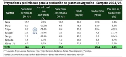 La proyección de producción para la campaña 202472025