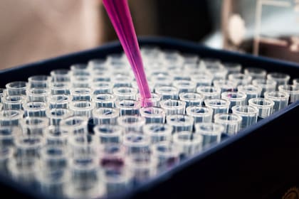 La prueba de ADN era para saber más sobre sus raíces, pero terminaron por descubrir una realidad acerca de su nacimiento