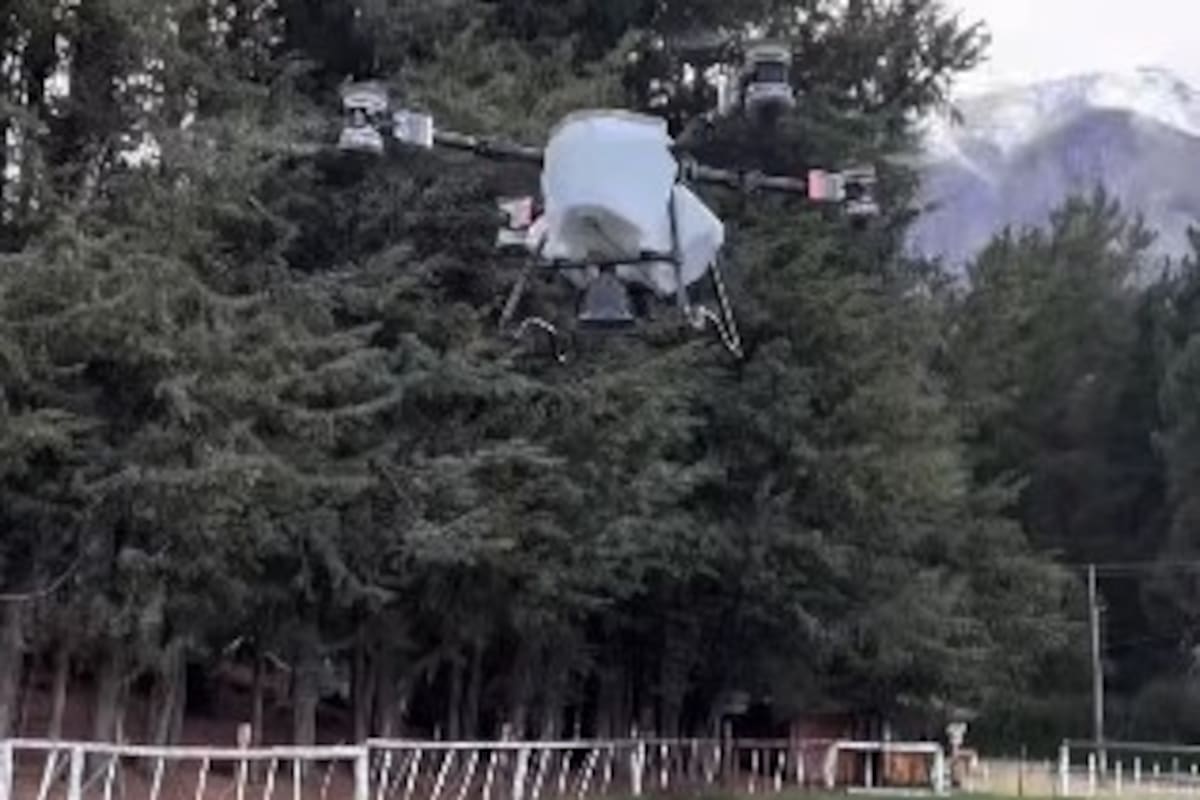La prueba piloto de siembra de forrajes con drone en Puerto Patriada.