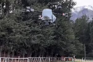 Polémica por la siembra de pasto con drones en zonas afectadas por incendios en la Patagonia