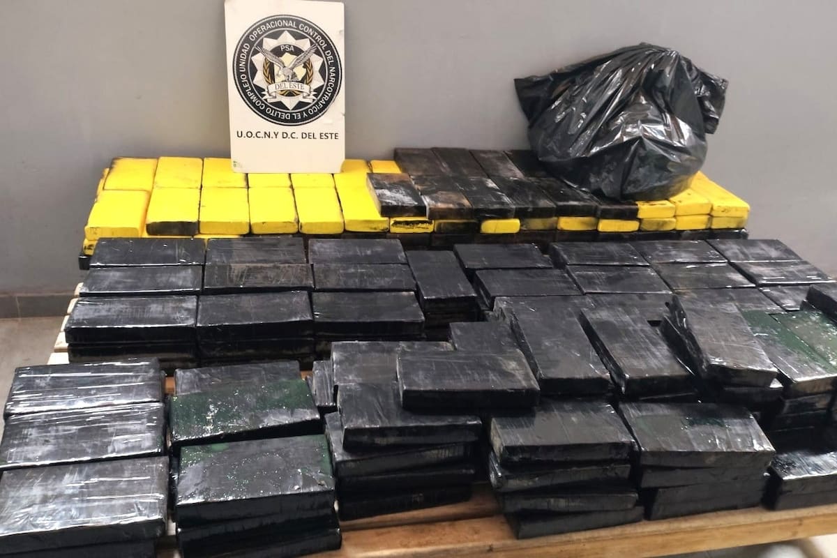 La PSA decomsió 255 kilos de cocaína