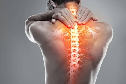 La quiropraxis se enfoca en la columna vertebral y el correcto funcionamiento del sistema musculoesquelético