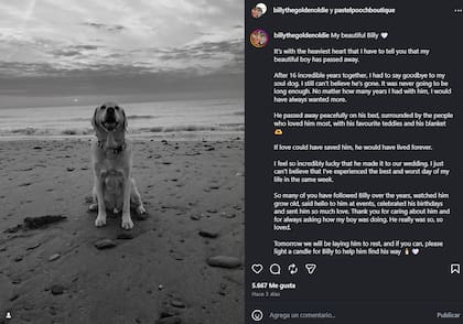 La publicación con la que Amie anunció la muerte de Billy