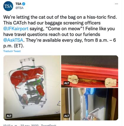 La publicación de la TSA sobre el gato en una valija que se viralizó
