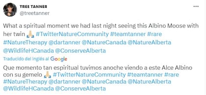 La publicación de Tree Tanner en X