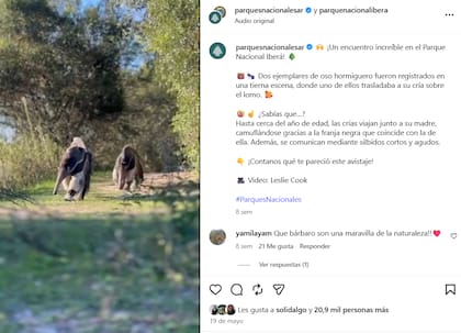 La publicación fue muy comentada en las redes sociales