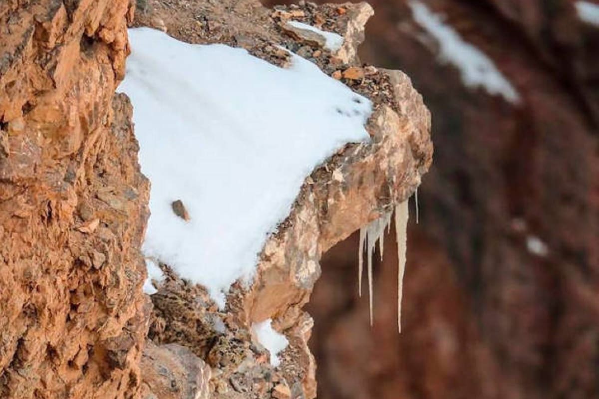La publicación realizada por un usuario de Twitter ya tiene más de 100.000 me gusta