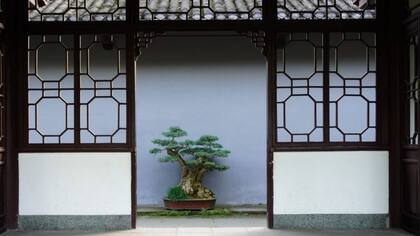 La limpieza de energías es un elemento fundamental en el Feng Shui