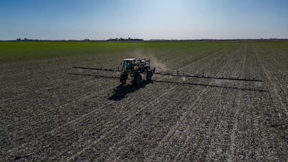La pulverización selectiva funciona, el ahorro y la mejora del control de malezas son importantes, además de reducir el impacto ambiental y mejorar los resultados productivos al disminuir la fitotoxicidad en los cultivos
