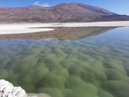 La puna de Atacama se encuentra cerca de las fronteras que separan a Argentina, Chile y Bolivia