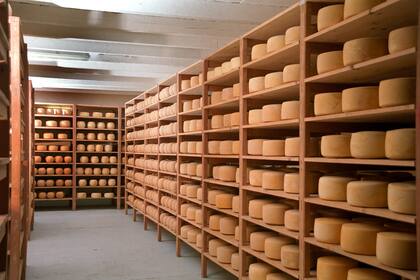 La pyme Lácteos Santa Fe, lazó la campaña queso solidario que saldrá el próximo miércoles