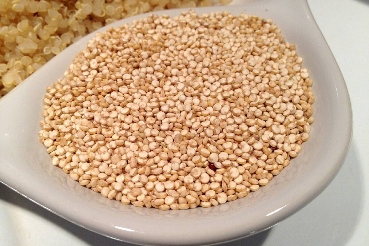 La quinoa es considerada un “superalimento”