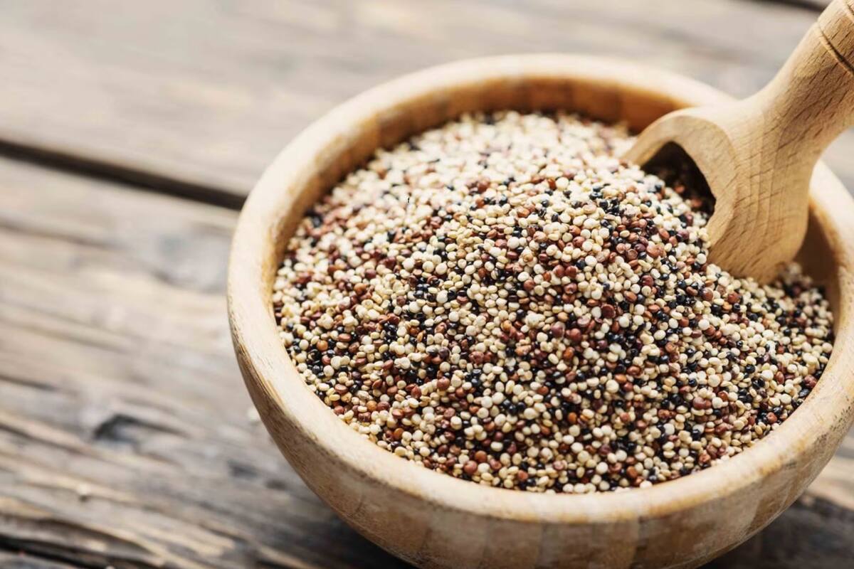 La quinoa es considerada un superalimento por sus importantes beneficios para la salud