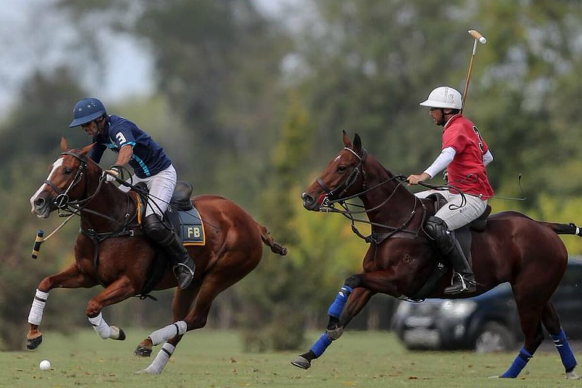 La Quinta en acción