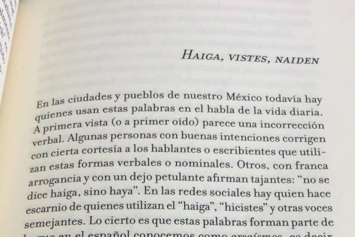 La RAE acepta el término haiga, pero no como un tiempo del verbo haber