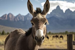 ¿Cómo se llama la cría del burro y la yegua?