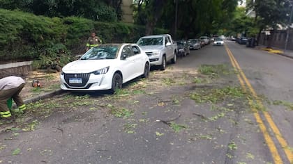 La rama de gran tamaño se desprendió desde un árbol ubicado en una propiedad privada; el retiro de los restos dejó en evidencia los daños sobre los autos