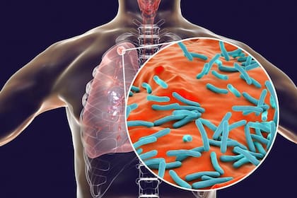 La rápida solución de la IA a uno de los enigmas médicos más difíciles de resolver promete abrir las puertas a un nuevo mundo de investigaciones colaborativas entre la IA y los científicos.