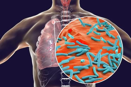 La rápida solución de la IA a uno de los enigmas médicos más difíciles de resolver promete abrir las puertas a un nuevo mundo de investigaciones colaborativas entre la IA y los científicos