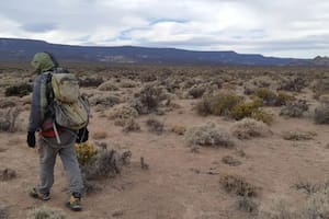 La rata fue detectada en la zona del Valle del Arroyo Perdido
