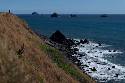 La ratificación por parte de 60 países activa la entrada en vigor del Tratado de Biodiversidad en Al